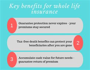 whole life insurance